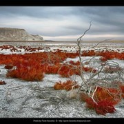 Ecologie Aral sea  группа в Моем Мире.