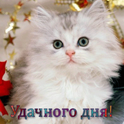 Блог. Людмила Киселева группа в Моем Мире.