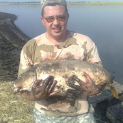 Международный клуб любителей карповой ловли группа в Моем Мире.