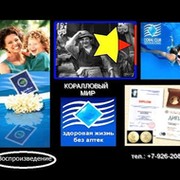 Разумное Доброе Вечное группа в Моем Мире.