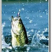 Рыбалка и прочее о ней (Fishing-info.at.ua) группа в Моем Мире.