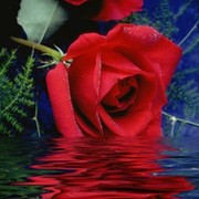 Антонина Ковалёва on My World.