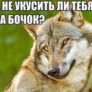 Надежда Селивёрстова on My World.