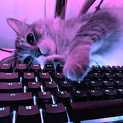 * * on My World.