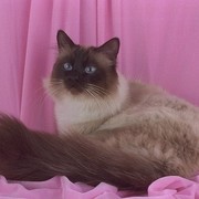 Татьяна Эм on My World.