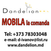 Dandelion SRL Dandelion SRL on My World.