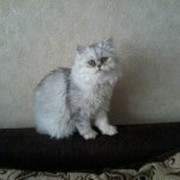 Тамара Андреева on My World.