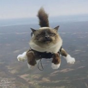 Александр Миллер on My World.