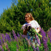 Ирина Апикова on My World.