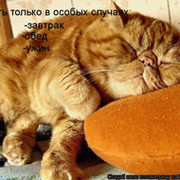 Ростислав Волошин on My World.