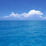 Любовь Бердникова on My World.