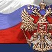 Александр Михеев on My World.
