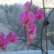 Юрий Блам on My World.