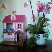 Ynina ****kayavdomike on My World.
