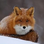 Татьяна Чистова on My World.
