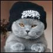 Дмитрий *** on My World.