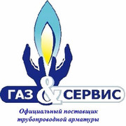 Ооо сервис газ проект