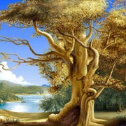 Рауль Гусейнов on My World.