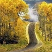 Эльвира Новокубанск on My World.