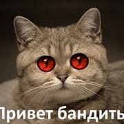 Алексей пи100лет on My World.