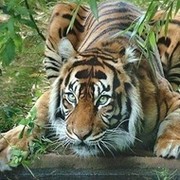 Наталья Лукьянова on My World.