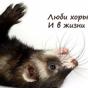 Светлана Андриященко on My World.
