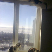 Лена Давыдова on My World.