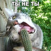 Алексей Плотников on My World.