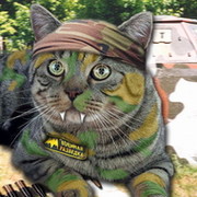 MAD CAT on My World.