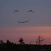 евгений мишурин on My World.