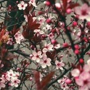 Екатерина Чалых on My World.