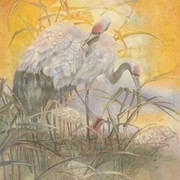 Наталья Шестакова on My World.