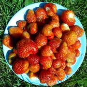 Олесья Ткаченко on My World.
