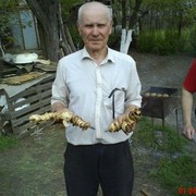 Владимир Подварчанский on My World.