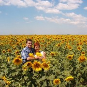 Анатолий Решитько on My World.