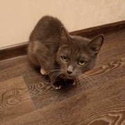 Софья Телегина on My World.