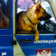 Катерина тайна on My World.