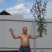 Сергей Стражков on My World.