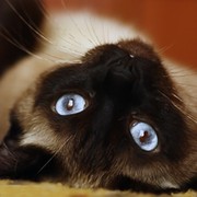 Катерина *** on My World.