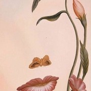 Татьяна Фадеева on My World.