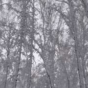 Ирина Украинка on My World.