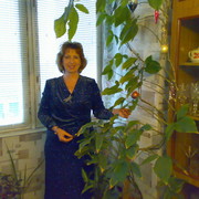 Елена Анищенко on My World.
