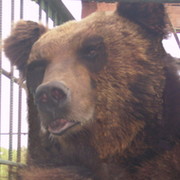 Виталий @@@ on My World.