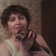 АЛСУ ЖИХАРЕВА on My World.